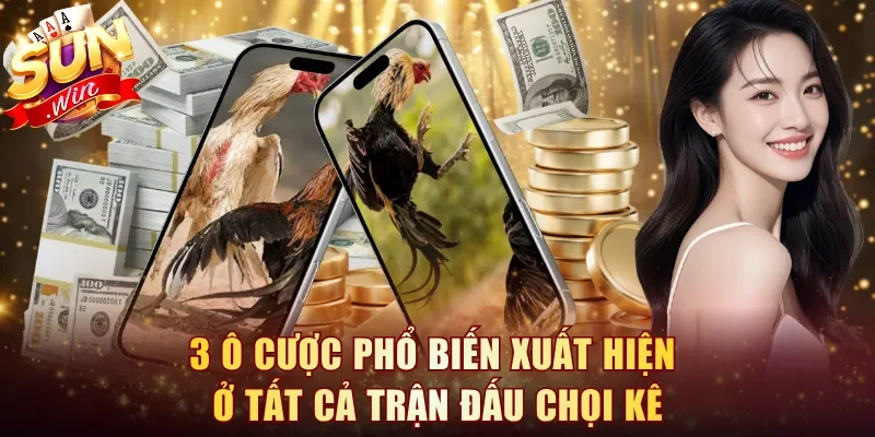 3 ô cược phổ biến xuất hiện ở tất cả trận đấu chọi kê