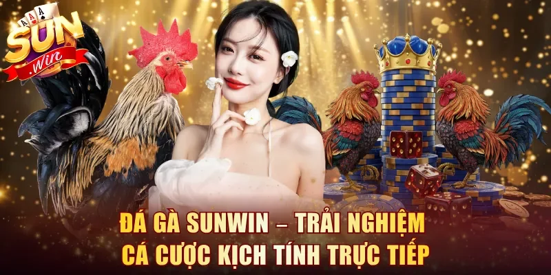 Đá Gà Sunwin