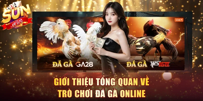 Giới thiệu tổng quan về trò chơi Đá Gà online