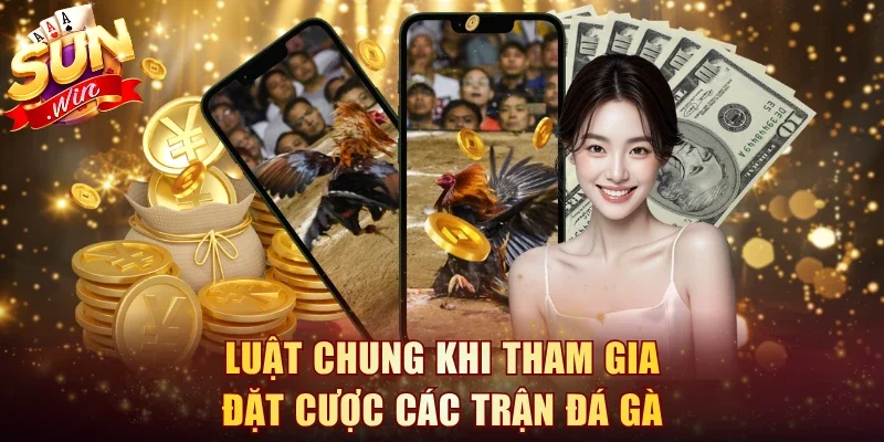 Luật chung khi tham gia đặt cược các trận đá gà