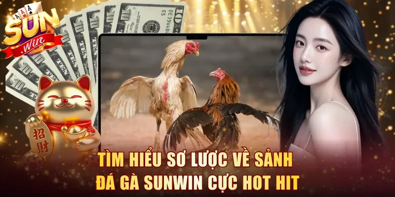 Tìm hiểu sơ lược về sảnh Đá Gà Sunwin cực hot hit
